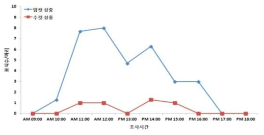 일일 중 황색다리사냥파리 성충의 작은뿌리파리 성충 포식수