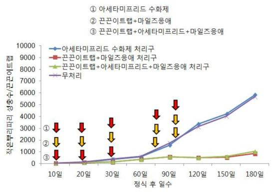 토마토에서 작은뿌리파리의 관리방법별 작은뿌리파리의 밀도억제 효과