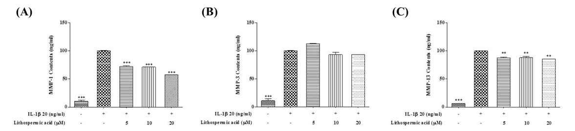 Lithospermic acid effects on MMP-1, MMP-3 and MMP-13 production in culture media of IL-1β-induced SW1353 chondrosarcoma cells. (A) MMP-1, (B) MMP-3, (C) MMP-13