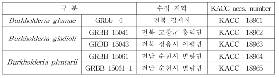 검정에 사용한 세균벼알마름병원균 목록