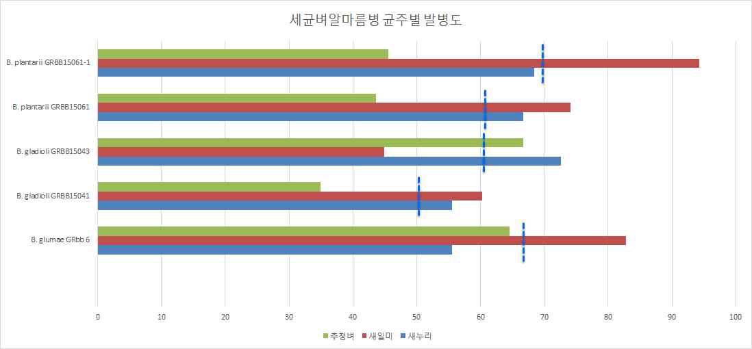 세균벼알마름병 균주별 발병도 및 평균 발병도, 2016, 식량원 온실