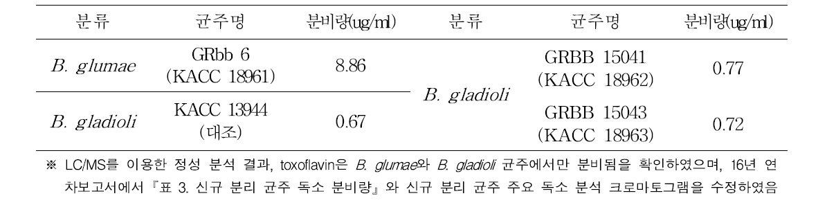 신규 분리 균주 toxoflavin 분비량