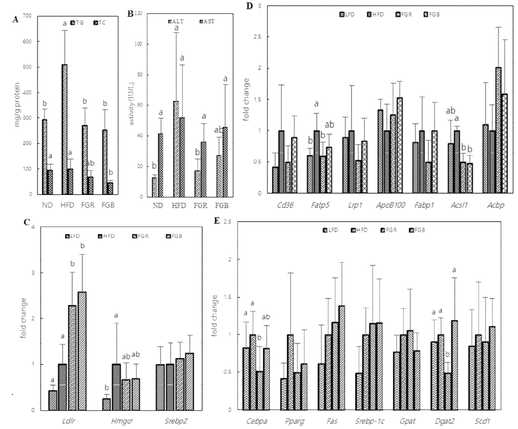 Effects of FGR and FGB on the liver of mice fed a HFD for 16 weeks. A, Effects on TG and TC levels in the liver (n=6); B, Effects on ALT and AST activities in the liver (n=6); C, Effects on gene expression related to cholesterol metabolism (n=4); D, Effects on gene expression related to fatty acid uptake and fatty acid channeling (n=4); E, Effects on gene expression related to fatty acid synthesis and lipogenesis (n=4). abc Means not sharing a common letter are significantly different groups at p<0.05