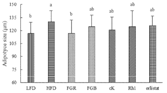 The adipocyte size of mice after treatment with crude saponins isolated from fermented ginseng root or berry, as well as ginsenoside cK, Rh1 and orlistat for 4 weeks. abc Means not sharing a common letter are significantly different groups at p<0.05