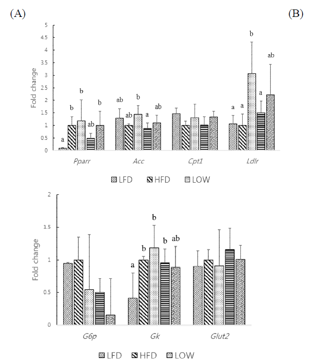 Effects of FG+PM on mRNA expression in liver. (A) Effects on mRNA expression related to lipid metabolism (n = 4). (B) Effects on mRNA expression related to glucose metabolism (n = 4). abcdMeansinthesamerownotsharingacommonletteraresignificantlydifferentgroupsatp < 0.05