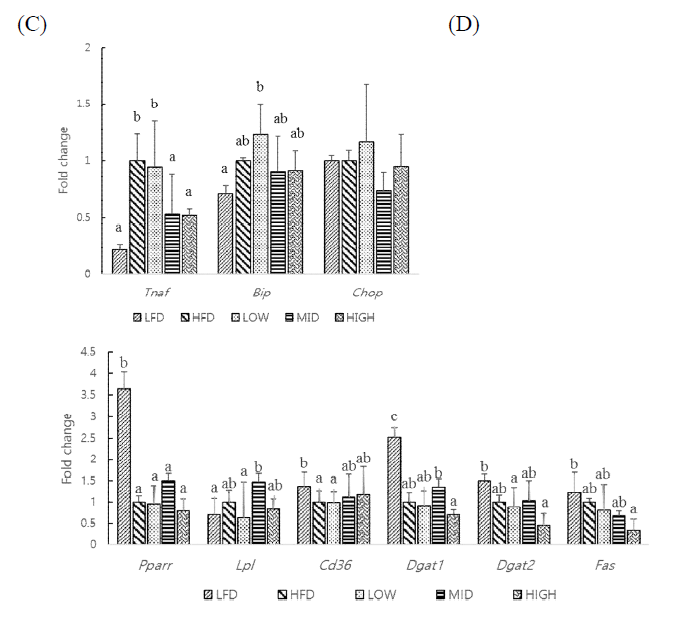 Effects on FG+PM on mRNA expression in adipose tissue. (A) Effects on mRNA expression related to inflammation (n = 4). (B) Effects on mRNA expression related to lipid metabolism (n = 4). abcdMeansinthesamerownotsharingacommonletteraresignificantlydifferentgroupsatp < 0.05