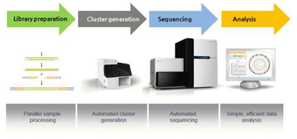 llumina Miseq sequencing workflow