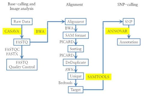 Genomic DNA analysis pipeline of resequencing