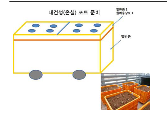 온실 내건성 분석용 포트 준비