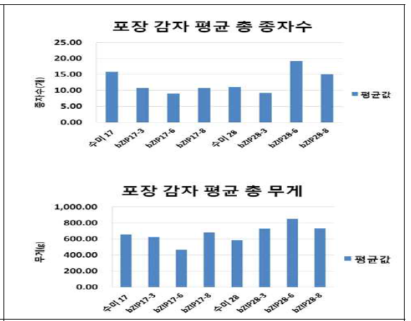 LMO 포장재배 형질전환 감자 수확량 분석