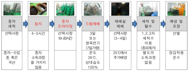 드럼재배 과정 및 위생 관리 현황