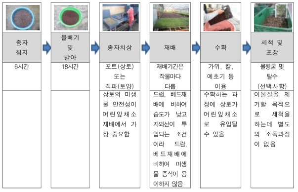 상토재배 과정