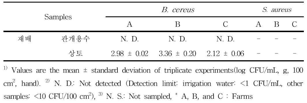 어린잎재배환경의 병원성미생물 오염도(Unit : log CFU/mL, g, 100 cm2)