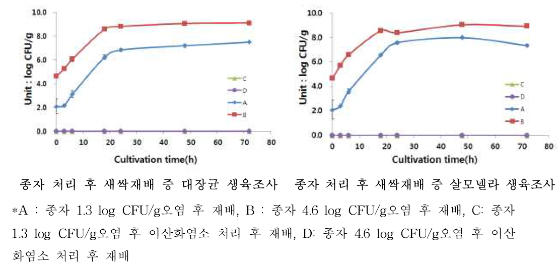 소독제 처리 후 알팔파 배양 중 병원성대장균과 살모넬라 생장