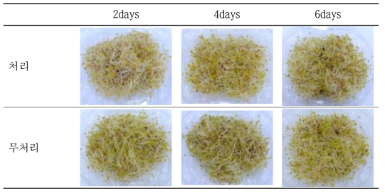 알팔파 종자에 이산화염소 처리 후 생산된 새싹의 품질 조사