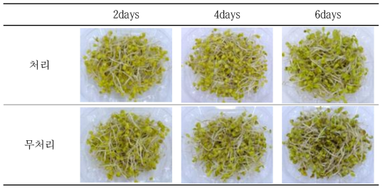 무 종자에 이산화염소 처리 후 생산된 새싹의 품질 조사