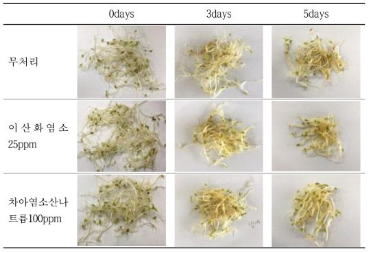 알파팔파 싹에 소독제 처리 후 저장 중 품질 변화