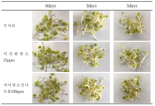 무 싹에 소독제 처리 후 저장 중 품질 변화