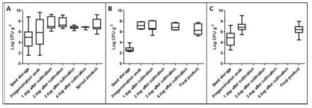 Aerobic bacterial counts on seeds or sprouts at each cultivation stages (A: sprouts,, B: radish sprout, C: baby leaf)