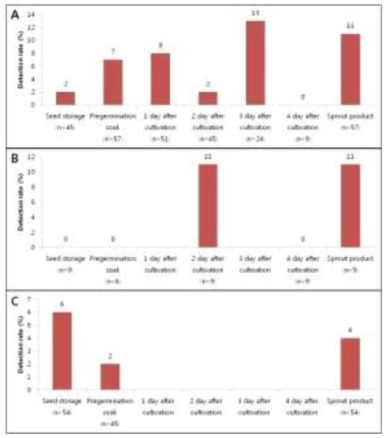 Contamination rates of E. coli on sprouts and baby leave at each cultivation stages (A: sprouts,, B: radish sprout, C: baby leave)