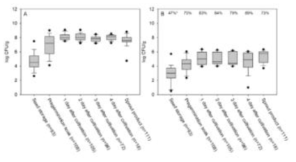 Bacterial count of indicator bacteria by product line of sprout cultivation (A: total aerobic bacteria; B: coliforms; * Detection rate of coliforms)