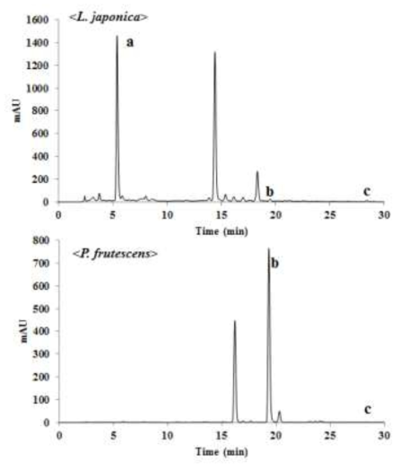 HPLC chromatograms of L. japonica and P . frutescens. The peaks represent chlorogenic acid (a), rosmarinic acid (b), and luteolin (c)