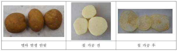 진선 품종의 원료, 시료, 칩 사진(큐어링 실시 후, 10℃ 저장 3개월간저장)