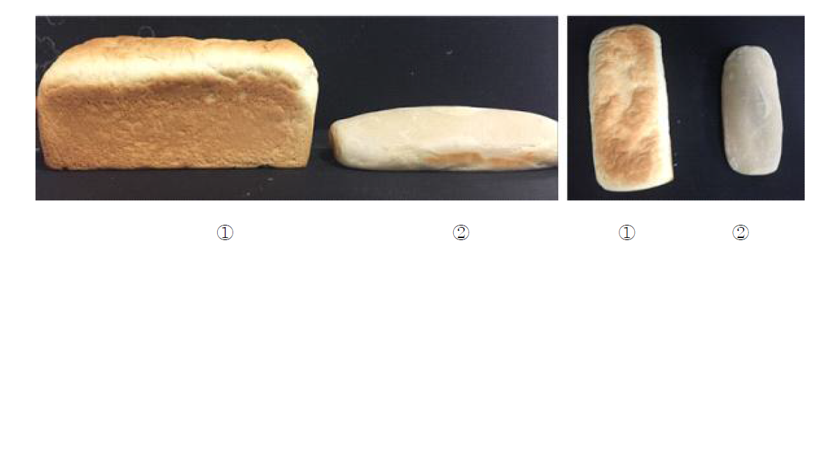 Overall appearances of bread added with native potato starch (①) and 3% STMP modified potato starch (②)