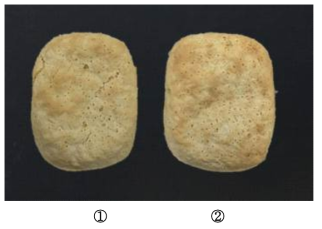 Overall appearances of ciabatta added with native potato starch (①) and 0.004% POCl3 modified starch (②)