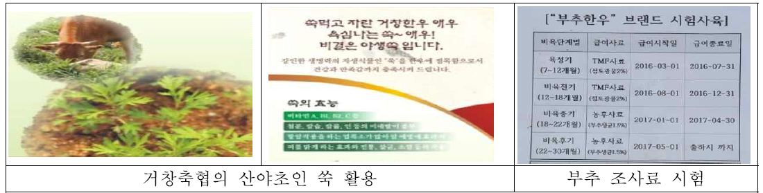 로컬피드 브랜드추진