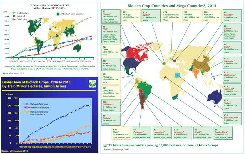 Global GM crop cultivation status