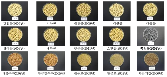 신육성 잡곡 품종별 비교