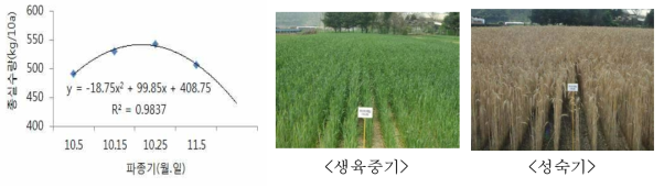 파종기와 종실수량과의 관계