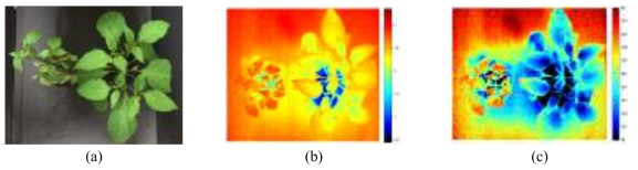 (a) RGB image, (b) original thermal image, (c) image processing result