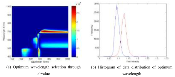 Optimal wavelength selection of hyperspectral image through one-way ANOVA