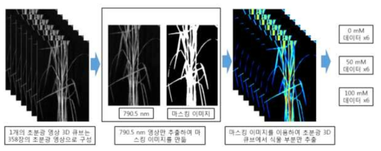 Extraction method of hyperspectral image data of rice