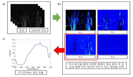 PCA analysis method of hyperspectral fluorescence image