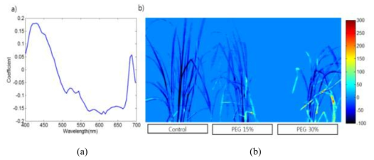 Results of PCA analysis of hyperspecrtral fluorescence images. (a) the selected PCA beta curve. (b) hyperspectral fluorescence image with Beta curve
