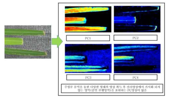 Schematic diagram of hyperspectral fluorescence image analysis using PCA