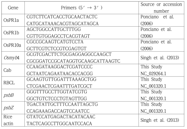 유전자 발현을 조사하기 위한 qPCR 프라이머