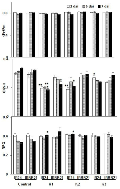 Comparison of time course changes of maximum PSII quantum yield (Fv/Fm), effective PSII quantum yield (ΦPSII), non-photochemical quenching co-efficient (NPQ) in resistant and susceptible genotypes. The leaves of 7-8 week old resistant (IRBB21) and susceptible (IR24) rice seedlings were clip inoculated with scissors dipped in the suspensions of K1, K2, and K3 races of Xoo. The inoculated plants were covered with a polythene hood for 24 h and the seedlings were grown in plant growth room (light/dark, 16/8 hr, 27℃). The chlorophyll fluorescence was recorded at 2 cm below from infection site 2, 5, and 7 dai. Three separate experiments were conducted with five plants for each treatment. The data obtained are the means ± SD from three independent experiments in three replicates. Asterisks denote values significantly different from the value of control plant on each variety at P<0.05 according to Tukey ‘s test