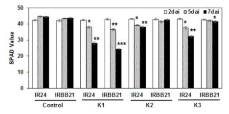 Changes of chlorophyll content in resistant and susceptible genotypes after inoculation with Xanthomonas oryzae pv. oryzae races. The leaves of 5-6 week old resistant (IRBB21) and susceptible (IR24) rice seedlings were clip inoculated with scissors dipped in the suspensions of K1, K2, and K3races of Xoo, covered with a polythene hood for 24 h, and the seedlings were grown in plant growth room (light/dark, 16/8 hr, 27℃). The values were recorded on 2, 5, and 7 dai. Three experiments were conducted with ten plants for each treatment. The data obtained are the means±SD from three independent experiments in three replicates. Asterisks denote values significantly different from the value of control plant on each variety at P<0.05 according to Tukey′s test