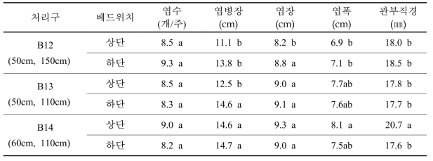 딸기 2단베드 베드 간격별 상단과 하단의 딸기 식물체의 생육 비교