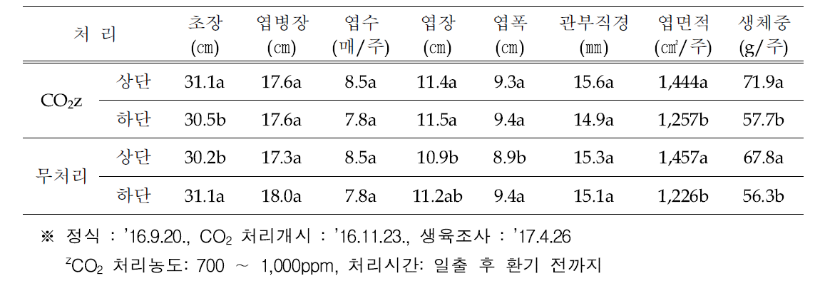 딸기 2단베드 재배시 CO2 처리에 따른 식물체 생육 비교