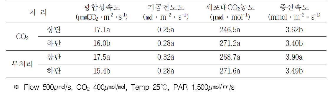 딸기 2단베드 재배시 CO2 처리에 의한 광합성속도 변화