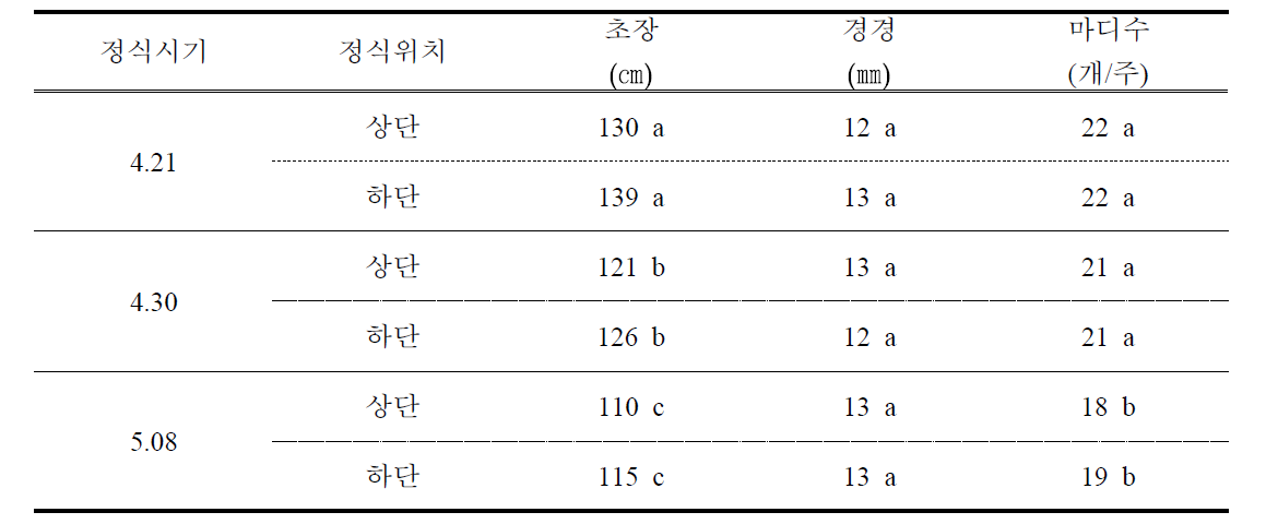 딸기 후작 ‘루비토마토’의 정식시기별 식물체 생육 비교