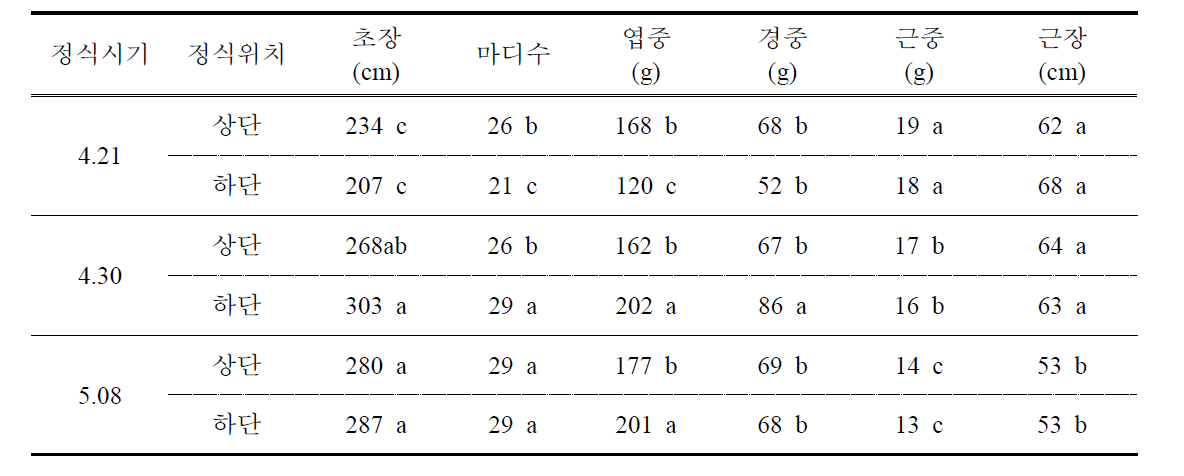 딸기 후작 수박의 정식시기별 식물체 생육 비교