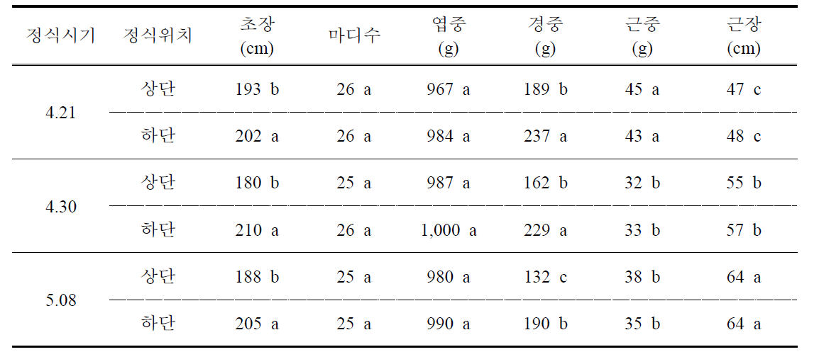 딸기 후작 멜론의 정식시기별 식물체 생육 비교