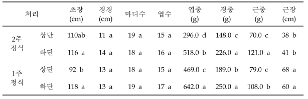 딸기 2단 베드 후작 방울토마토 유인 방법에 따른 식물체 생육 특성