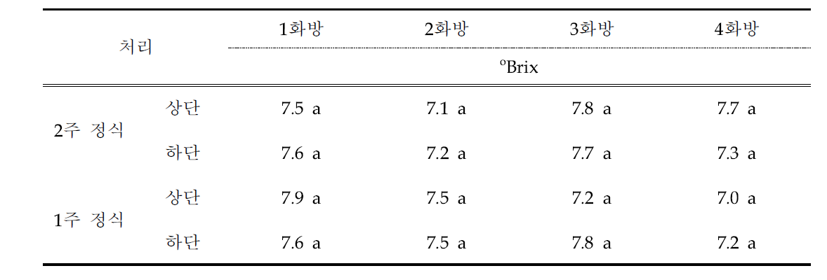 딸기 2단 베드 후작 방울토마토 유인 방법에 화방별 당도